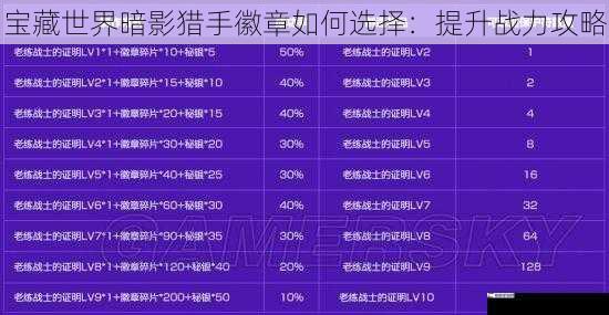 宝藏世界暗影猎手徽章如何选择：提升战力攻略