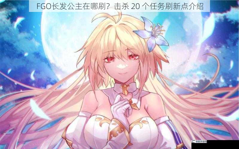 FGO 长发公主在哪刷？击杀 20 个任务刷新点介绍