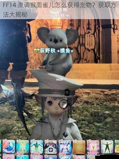 FF14 烹调猴面雀儿怎么获得宠物？获取方法大揭秘