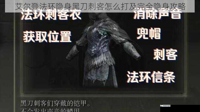 艾尔登法环隐身黑刀刺客怎么打及完全隐身攻略