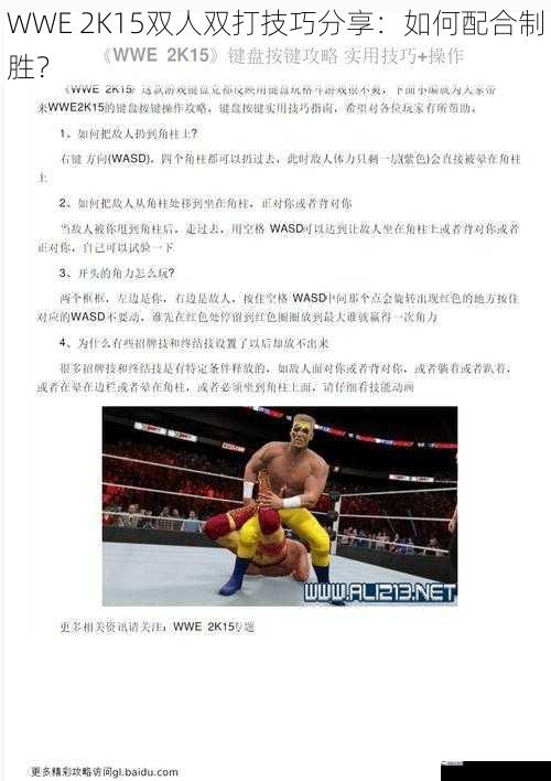 WWE 2K15双人双打技巧分享：如何配合制胜？