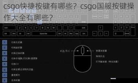 csgo快捷按键有哪些？csgo国服按键操作大全有哪些？