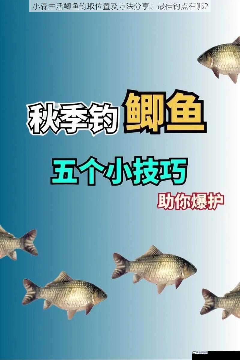 小森生活鲫鱼钓取位置及方法分享：最佳钓点在哪？