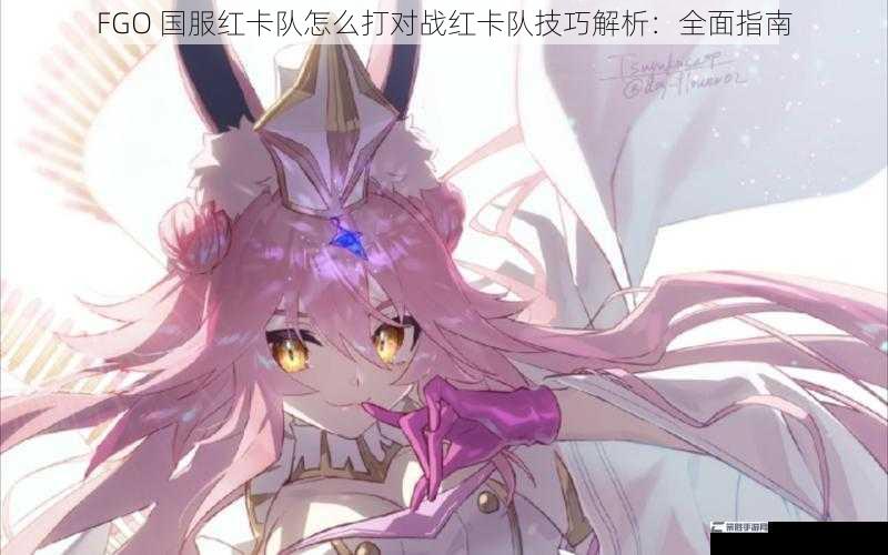 FGO 国服红卡队怎么打对战红卡队技巧解析：全面指南