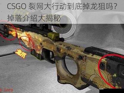 CSGO 裂网大行动到底掉龙狙吗？掉落介绍大揭秘