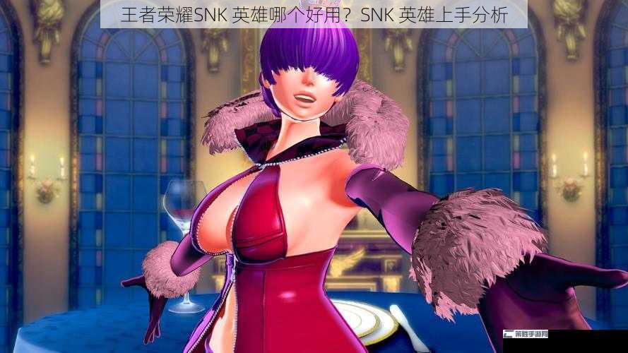 王者荣耀SNK 英雄哪个好用？SNK 英雄上手分析