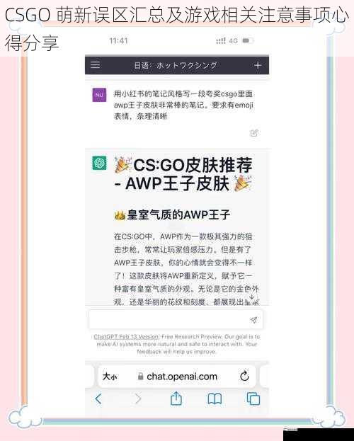 CSGO 萌新误区汇总及游戏相关注意事项心得分享