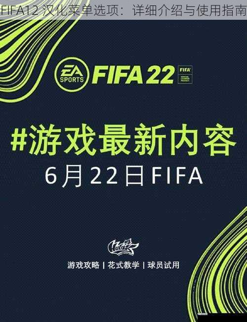 FIFA12 汉化菜单选项：详细介绍与使用指南