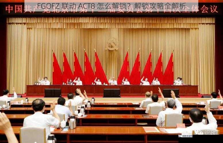 FGOFZ 联动 ACT8 怎么解锁？解锁攻略全解析