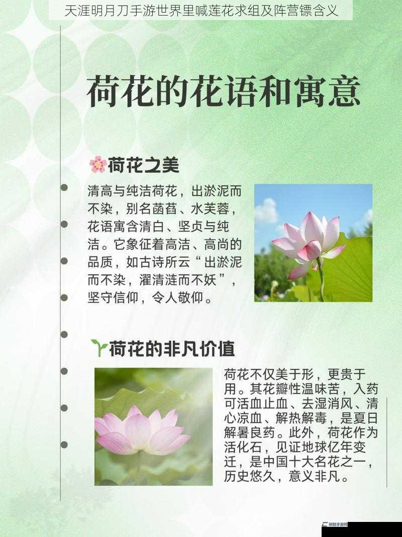 天涯明月刀手游世界里喊莲花求组及阵营镖含义