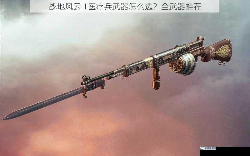 战地风云 1医疗兵武器怎么选？全武器推荐