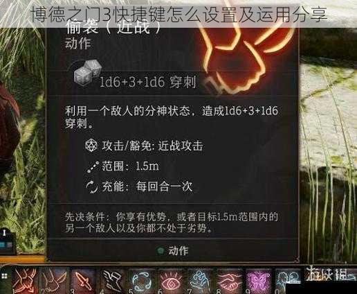 博德之门3快捷键怎么设置及运用分享