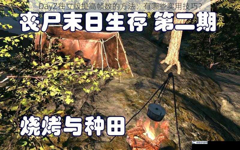 DayZ独立版提高帧数的方法：有哪些实用技巧？