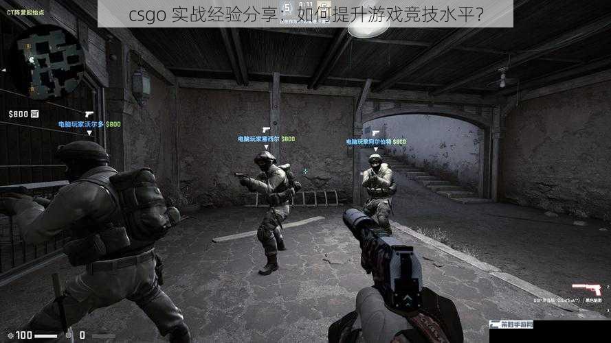 csgo 实战经验分享：如何提升游戏竞技水平？