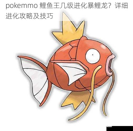 pokemmo 鲤鱼王几级进化暴鲤龙？详细进化攻略及技巧