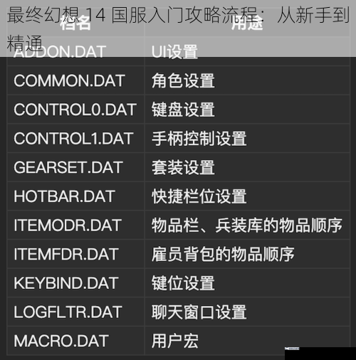 最终幻想 14 国服入门攻略流程：从新手到精通