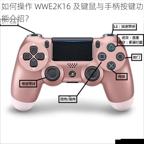 如何操作 WWE2K16 及键鼠与手柄按键功能介绍？