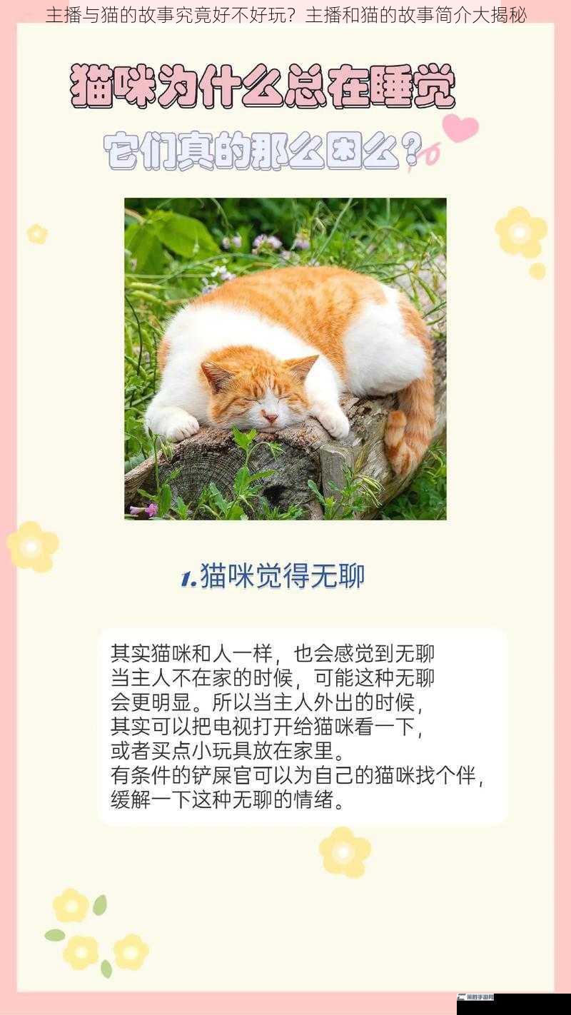 主播与猫的故事究竟好不好玩？主播和猫的故事简介大揭秘