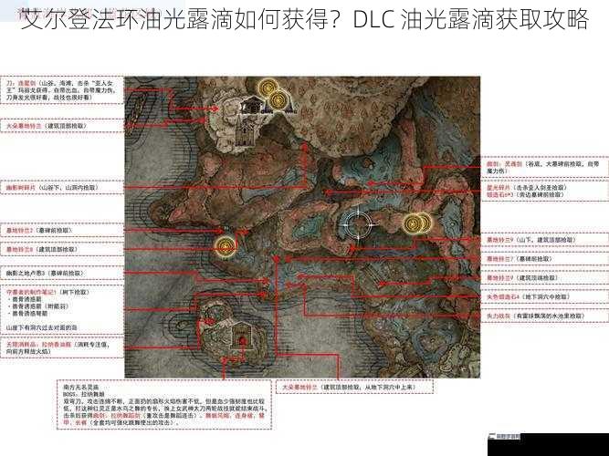 艾尔登法环油光露滴如何获得？DLC 油光露滴获取攻略