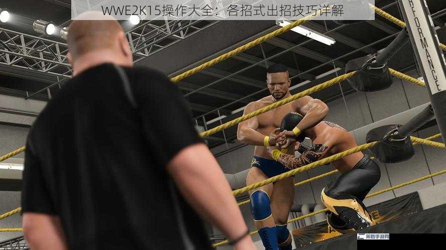 WWE2K15操作大全：各招式出招技巧详解