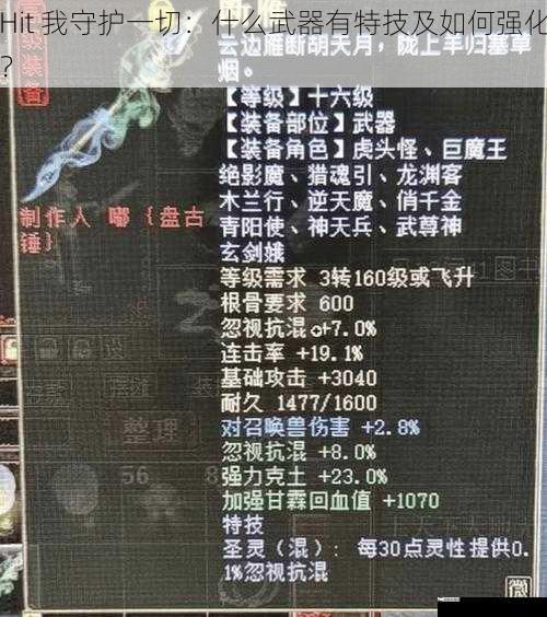 Hit 我守护一切：什么武器有特技及如何强化？