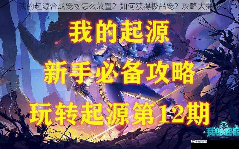 我的起源合成宠物怎么放置？如何获得极品宠？攻略大揭秘