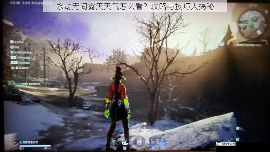 永劫无间雾天天气怎么看？攻略与技巧大揭秘