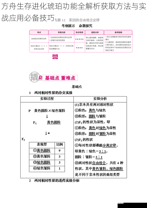 方舟生存进化琥珀功能全解析获取方法与实战应用必备技巧