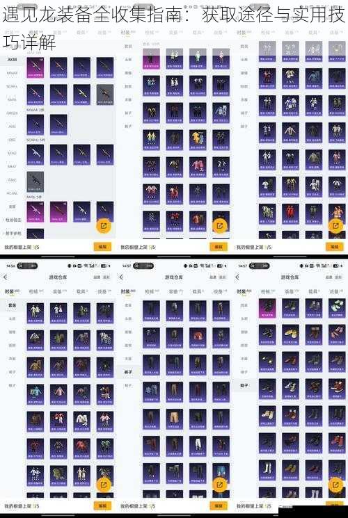 遇见龙装备全收集指南：获取途径与实用技巧详解