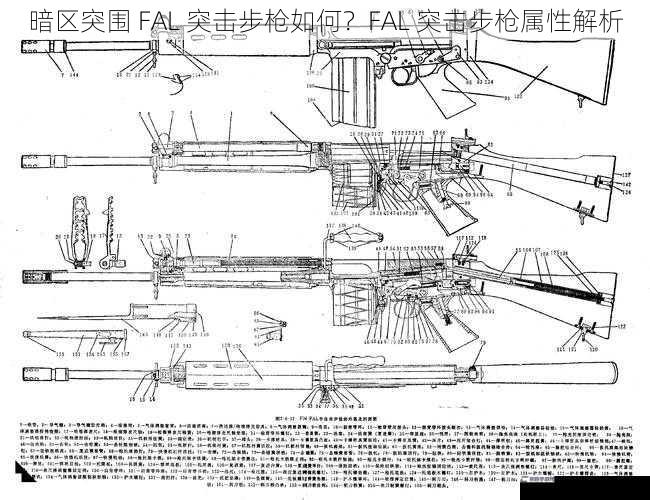 暗区突围 FAL 突击步枪如何？FAL 突击步枪属性解析