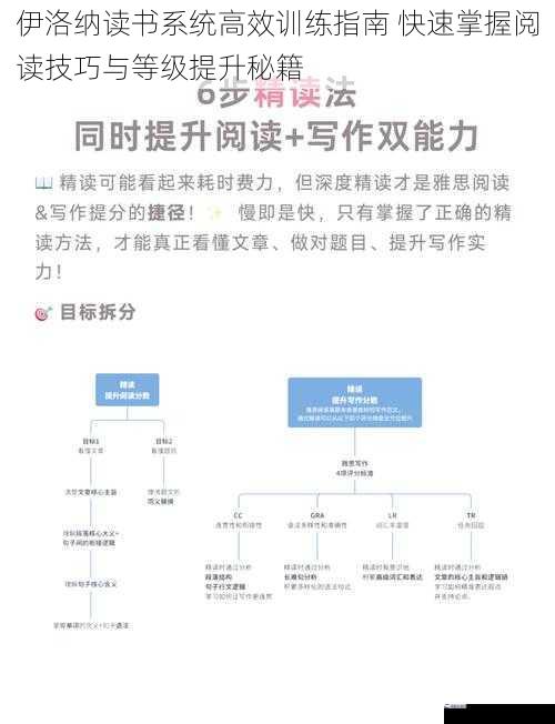 伊洛纳读书系统高效训练指南 快速掌握阅读技巧与等级提升秘籍