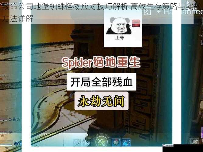 致命公司地堡蜘蛛怪物应对技巧解析 高效生存策略与实战方法详解