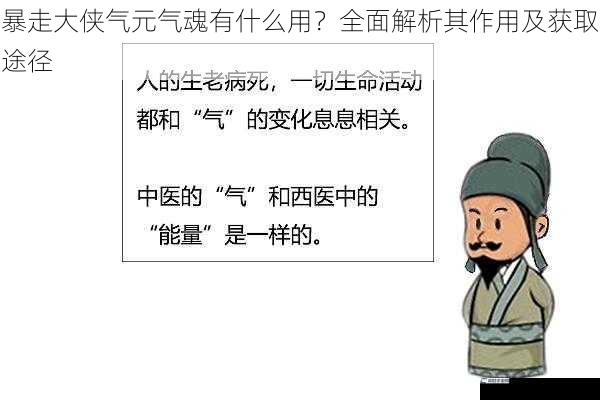 暴走大侠气元气魂有什么用？全面解析其作用及获取途径