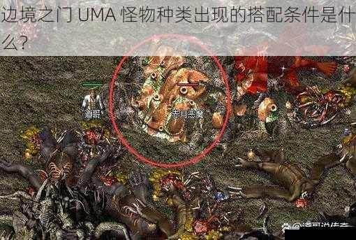 边境之门 UMA 怪物种类出现的搭配条件是什么？