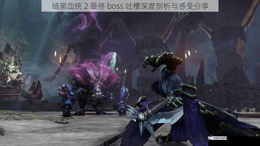 暗黑血统 2 最终 boss 吐槽深度剖析与感受分享