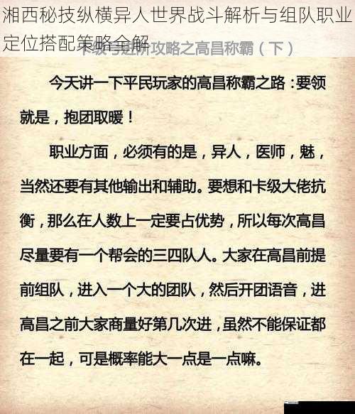 湘西秘技纵横异人世界战斗解析与组队职业定位搭配策略全解