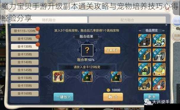 魔力宝贝手游升级副本通关攻略与宠物培养技巧心得经验分享