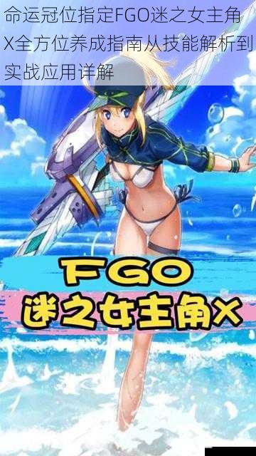 命运冠位指定FGO迷之女主角X全方位养成指南从技能解析到实战应用详解