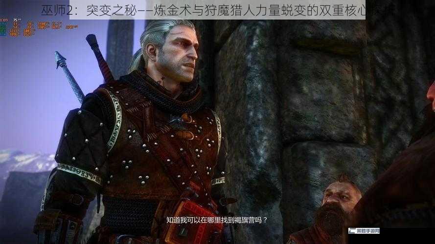 巫师2：突变之秘——炼金术与狩魔猎人力量蜕变的双重核心探析