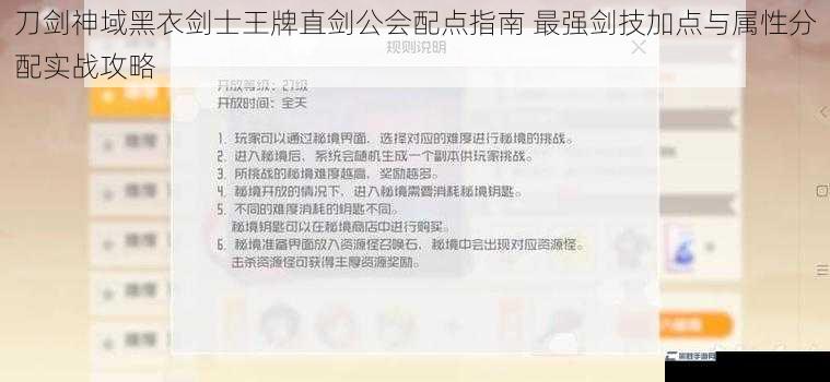 刀剑神域黑衣剑士王牌直剑公会配点指南 最强剑技加点与属性分配实战攻略